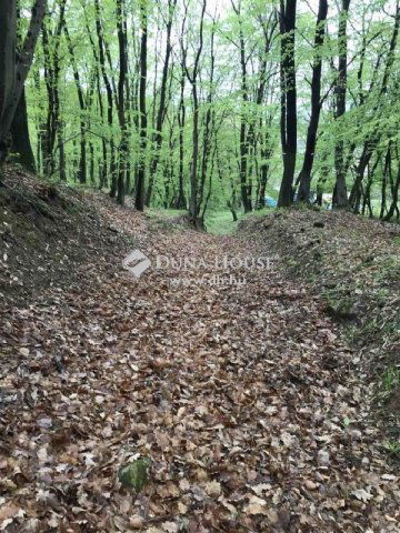 Eladó telek, Pilismaróton 7.9 M Ft / költözzbe.hu