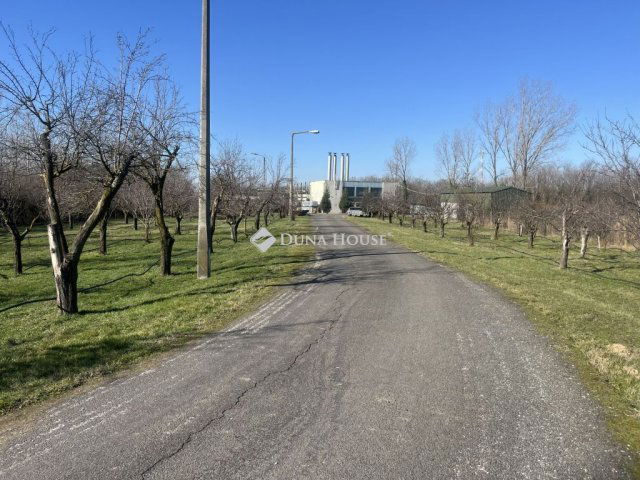 Eladó ipari ingatlan, Hódmezővásárhelyen 109.9 M Ft