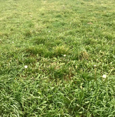 Eladó telek, Kehidakustányban 4 M Ft / költözzbe.hu