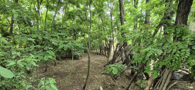 Eladó mezogazdasagi ingatlan, Gyálon 8.99 M Ft