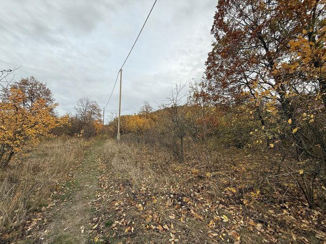 Eladó telek, Pomázon 8.532 M Ft / költözzbe.hu