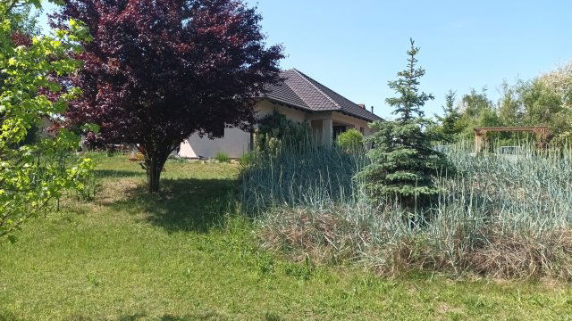 Kiadó családi ház, albérlet, Kecskeméten 520 E Ft / hó