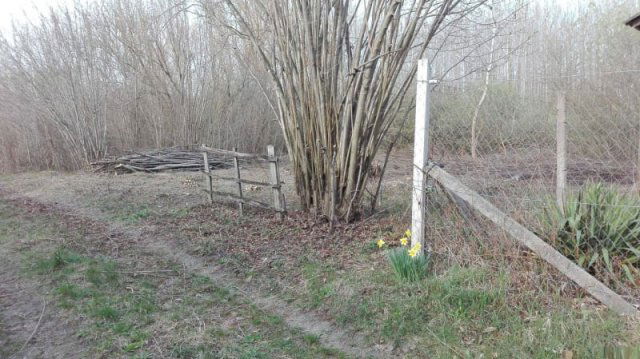 Eladó telek, Ráckevén 5.6 M Ft / költözzbe.hu