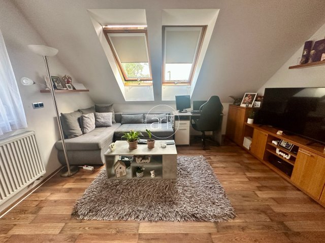 Kiadó téglalakás, albérlet, Szegeden, Bibó István utcában