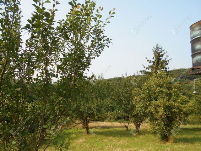 Eladó családi ház, Zalaegerszegen 16.5 M Ft, 1 szobás