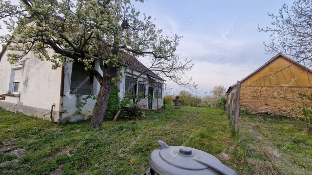 Eladó családi ház, Csépen 14.9 M Ft, 1 szobás