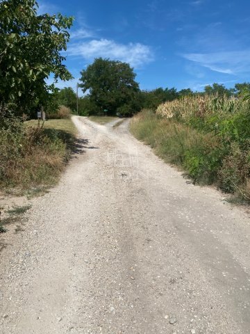 Eladó mezogazdasagi ingatlan, Nagyigmándon 79.9 M Ft