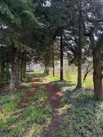 Eladó mezogazdasagi ingatlan, Kaposváron 24.9 M Ft, 3 szobás