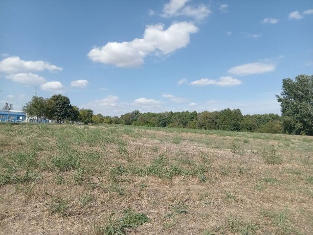 Eladó mezogazdasagi ingatlan, Kaposfőn 32 M Ft