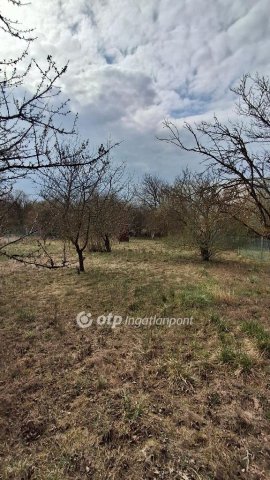 Eladó telek, Baracskán 12.9 M Ft / költözzbe.hu
