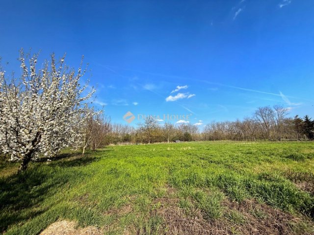 Eladó telek, Abában 10 M Ft / költözzbe.hu