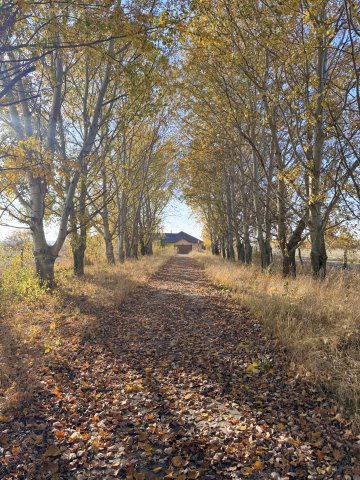 Eladó családi ház, Alsónyéken 85 M Ft, 4+1 szobás