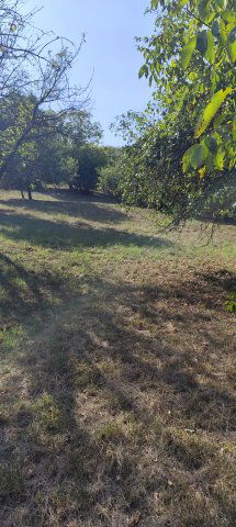 Eladó nyaraló, Zalaszentgróton 4.9 M Ft, 3 szobás