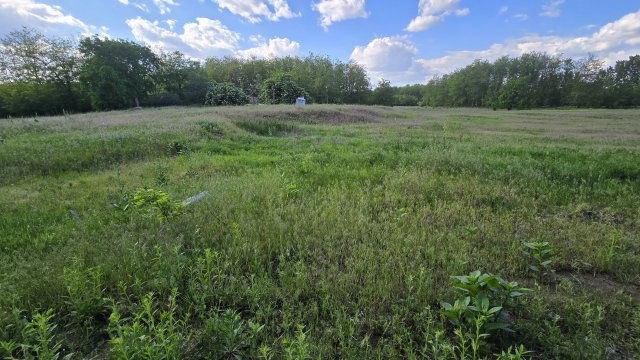 Eladó telek, Bácsalmáson 1.699 M Ft / költözzbe.hu