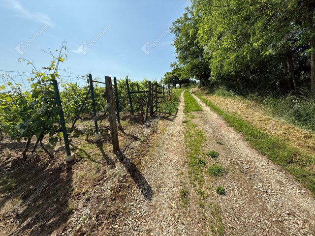 Eladó telek, Boncodföldén 0.85 M Ft / költözzbe.hu