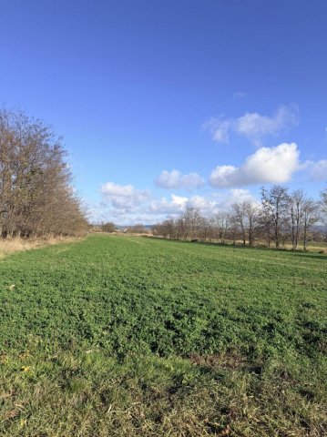 Eladó telek, Tatán 120 M Ft / költözzbe.hu