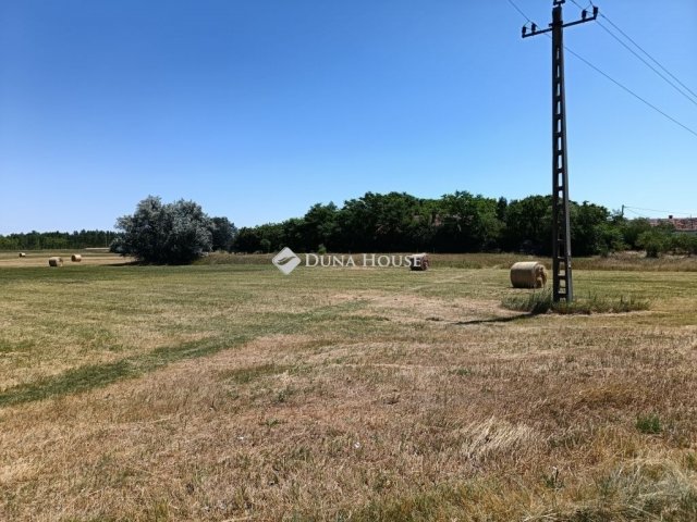 Eladó mezogazdasagi ingatlan, Szegeden 16 M Ft