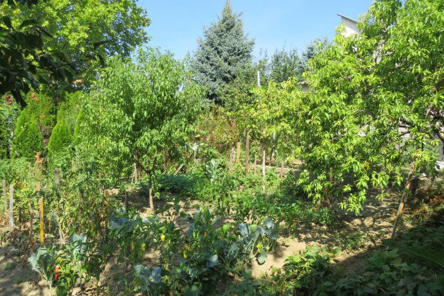 Eladó családi ház, Nagykanizsán 13.49 M Ft, 2 szobás