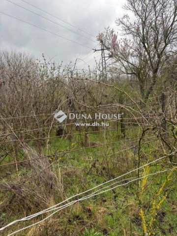 Eladó mezogazdasagi ingatlan, Tokodon 3.5 M Ft