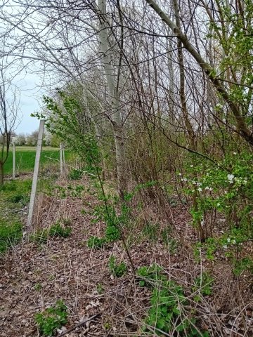 Eladó telek, Békésszentandráson 28.9 M Ft / költözzbe.hu