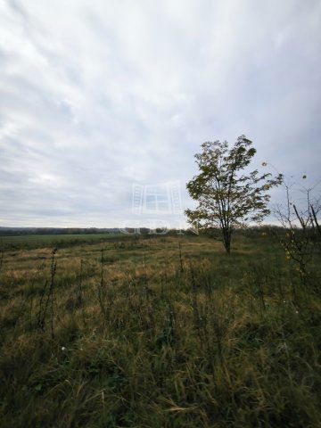 Eladó mezogazdasagi ingatlan, Csomádon 3.54 M Ft