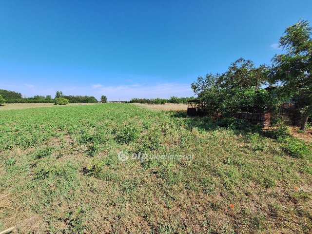 Eladó telek, Tiszakécskén 3.25 M Ft / költözzbe.hu