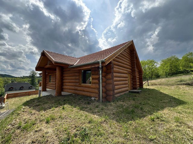 Eladó családi ház, Domonyban 95 M Ft, 5 szobás