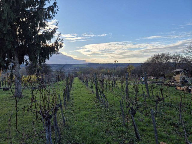 Eladó nyaraló, Szentgyörgyváron 15.6 M Ft, 2 szobás