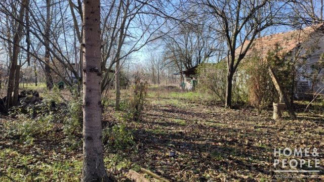 Eladó mezogazdasagi ingatlan, Szatymazon 18.5 M Ft
