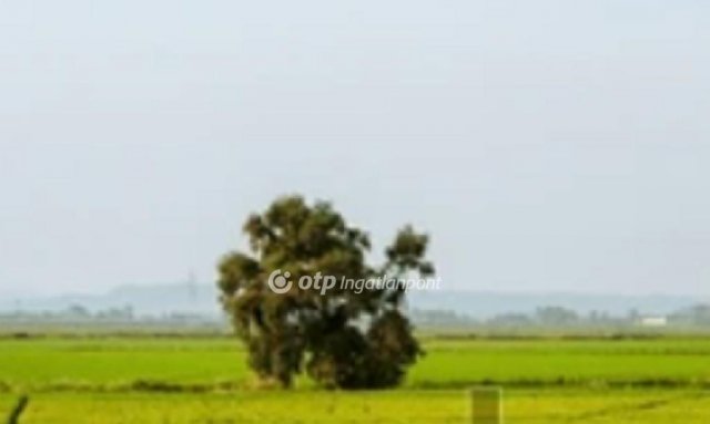 Eladó mezogazdasagi ingatlan, Budapesten, IX. kerületben 2.8 M Ft