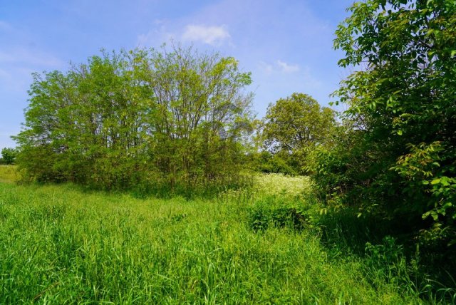 Eladó telek, Kisgörbőn 3.9 M Ft, 2 szobás / költözzbe.hu