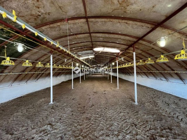 Eladó mezogazdasagi ingatlan, Bugacon 170 M Ft