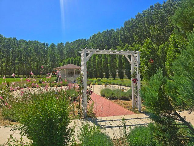 Kiadó üzlethelyiség, Nyíradonyban 2000 E Ft / hó, 8 szobás