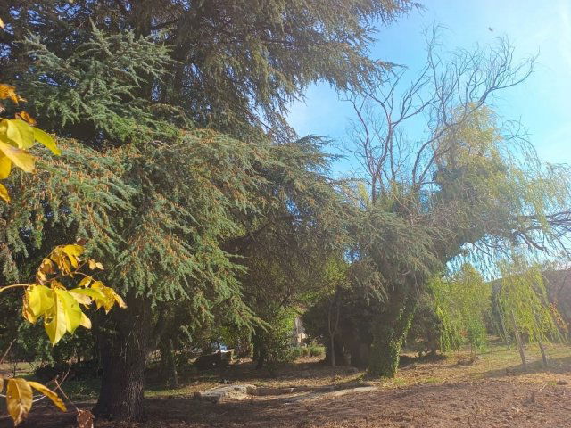 Eladó telek, Cserkúton 15 M Ft / költözzbe.hu