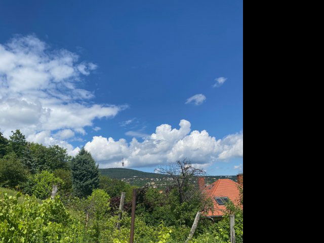 Eladó családi ház, Pécsett, Oldal dűlőn 69.9 M Ft, 4 szobás