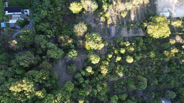 Eladó telek, Budaörsön, Fügefa utcában 320 M Ft