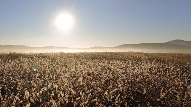 Eladó családi ház, Berkenyén 99 M Ft, 2 szobás