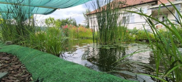 Eladó mezogazdasagi ingatlan, Táborfalván 128.99 M Ft, 2 szobás