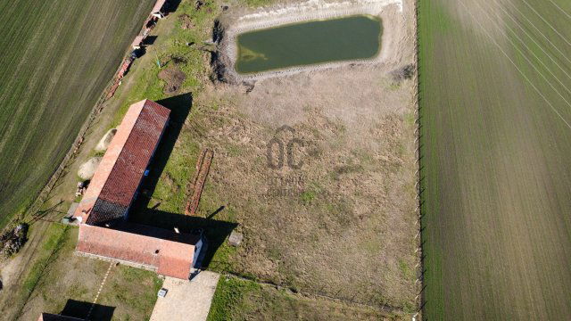 Eladó családi ház, Tiszaalpáron 66 M Ft, 3 szobás