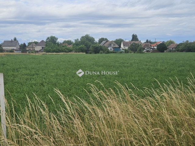 Eladó telek, Koroncón 9.8 M Ft / költözzbe.hu