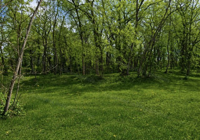 Eladó telek, Veresegyházon 59 M Ft / költözzbe.hu