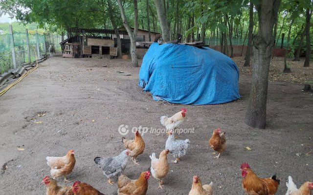 Eladó családi ház, Albertirsán 55.9 M Ft, 2 szobás