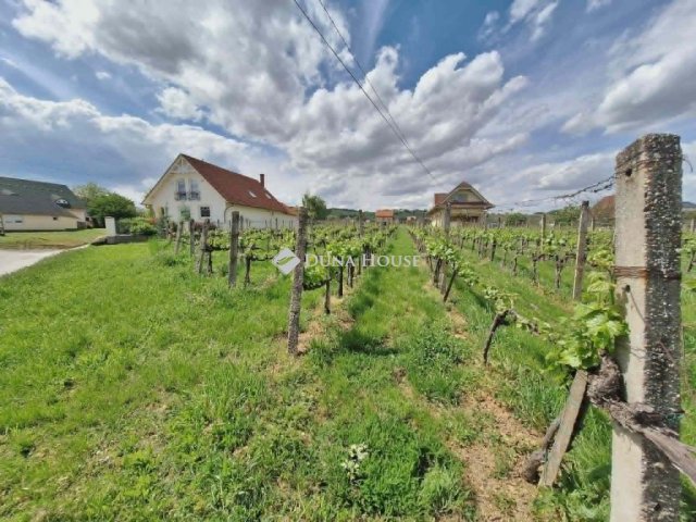 Eladó telek, Villányban 29.9 M Ft / költözzbe.hu