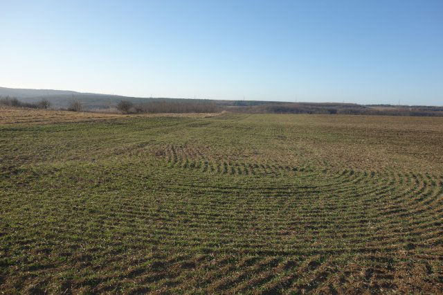 Eladó mezogazdasagi ingatlan, Isaszegen 4.8 M Ft