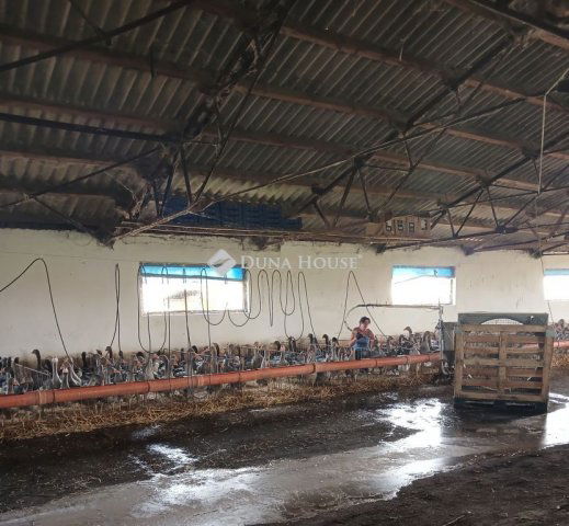 Kiadó mezogazdasagi ingatlan, Sárrétudvarin, Kossuth utcában