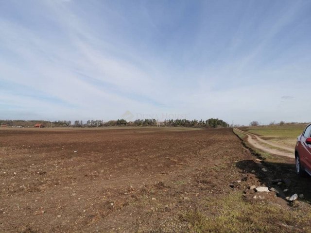 Eladó telek, Fóton, Alagi utcában 88 M Ft / költözzbe.hu