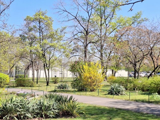 Eladó téglalakás, Budapesten, XX. kerületben, Alsóteleki utcában