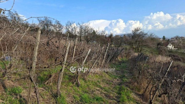 Eladó telek, Hegymagason 30 M Ft / költözzbe.hu