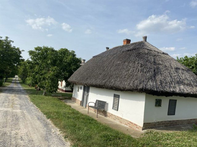 Eladó mezogazdasagi ingatlan, Buzsákon 22 M Ft