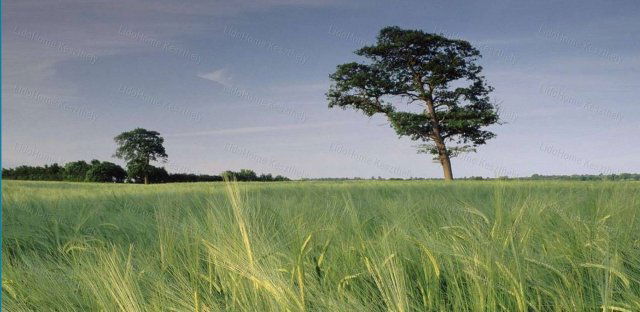 Eladó telek, Kehidakustányban 8.5 M Ft / költözzbe.hu